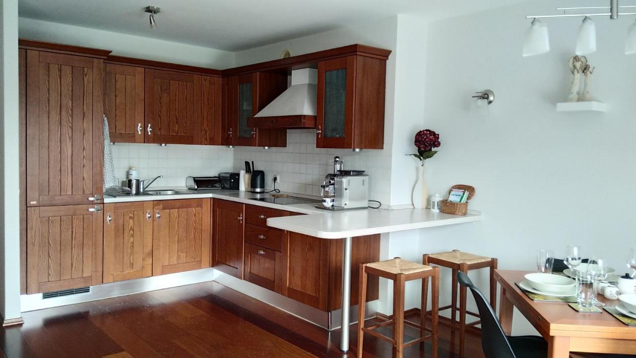 Antresola Apartament Zeta Park Ustroń Zewnętrze zdjęcie